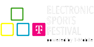 Electronic Sports Festival